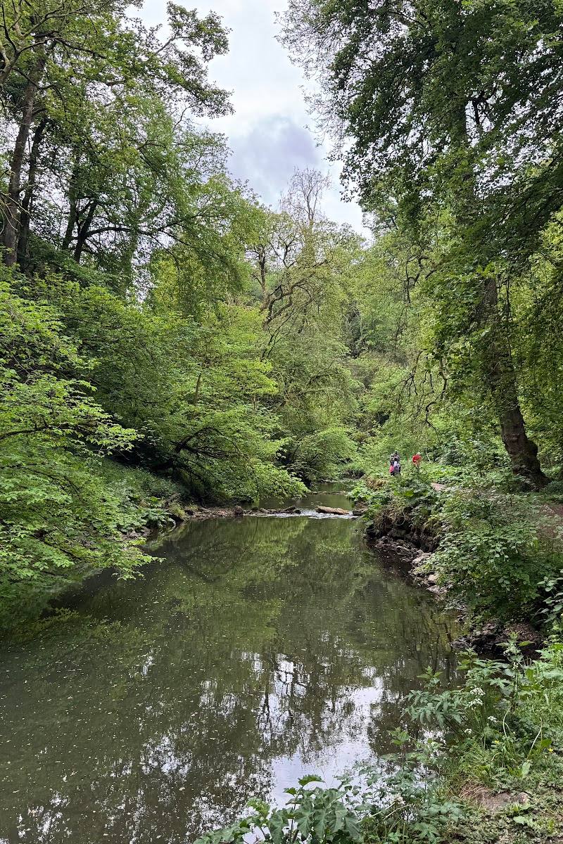 Wolfscote Dale