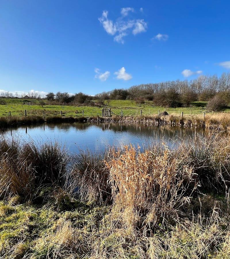 Woodhouse Washlands Nature Reserve — Source image