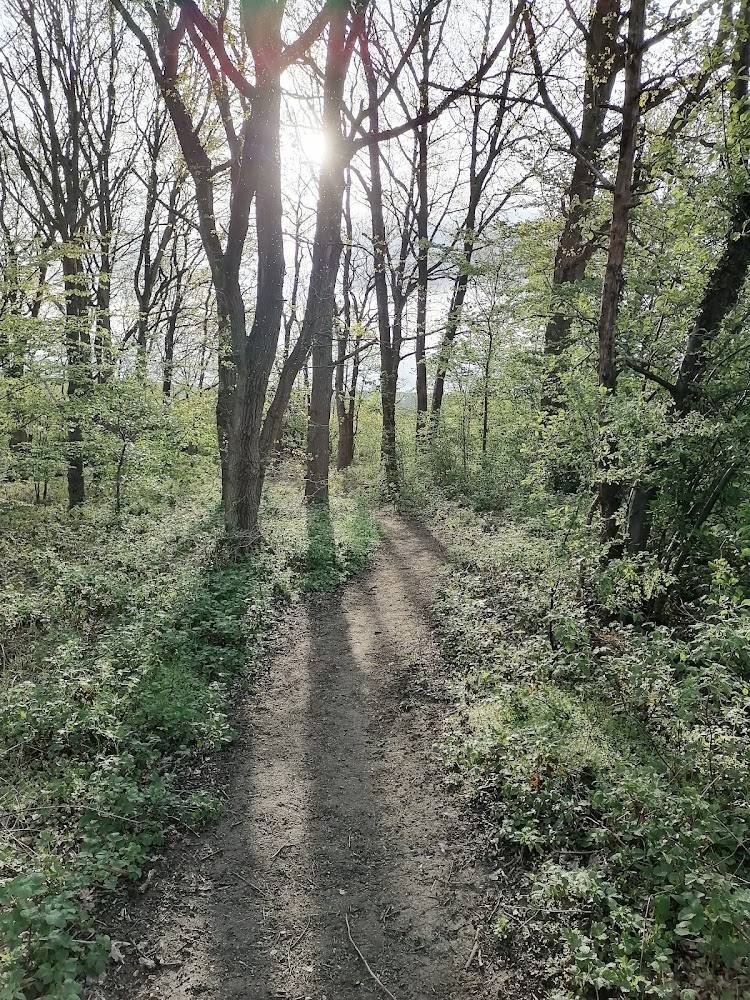 Woodridge Nature Reserve — Source image