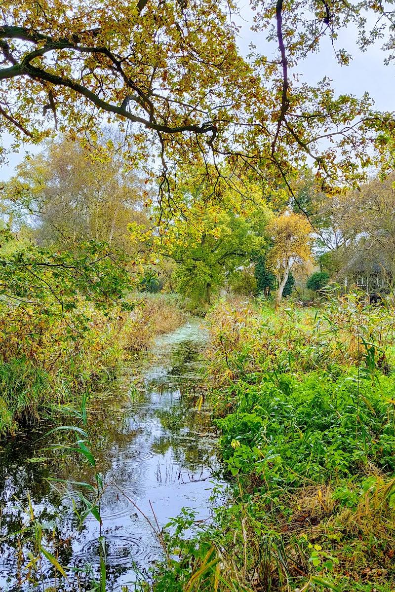 Woodwalton Fen