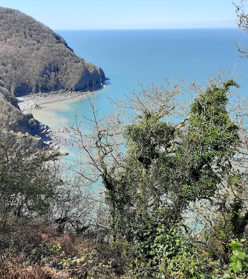 Woody Bay