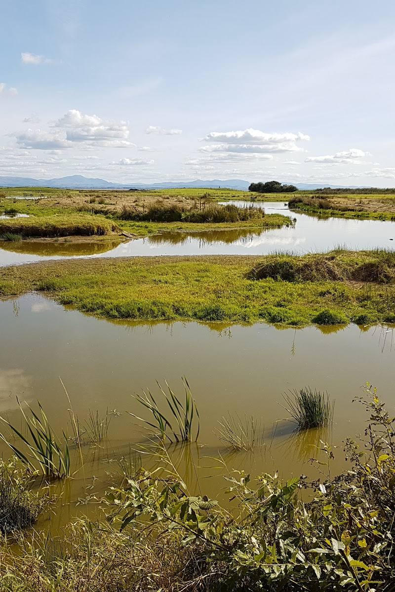 WWT Caerlaverock