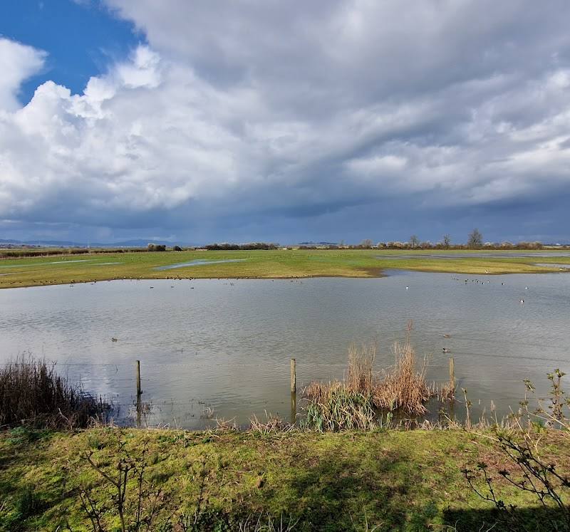 WWT Slimbridge — Source image