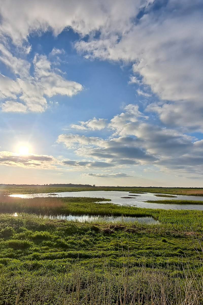 WWT Welney — Place photograph