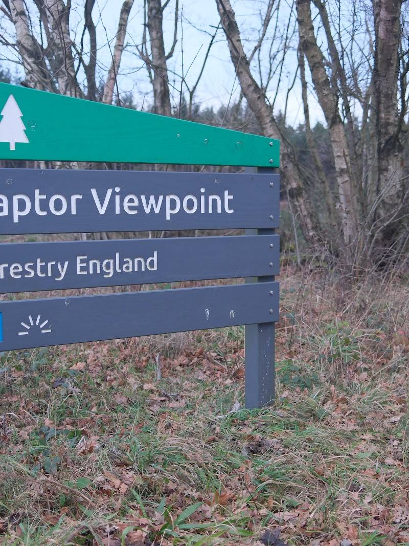 Wykeham Forest — Place photograph