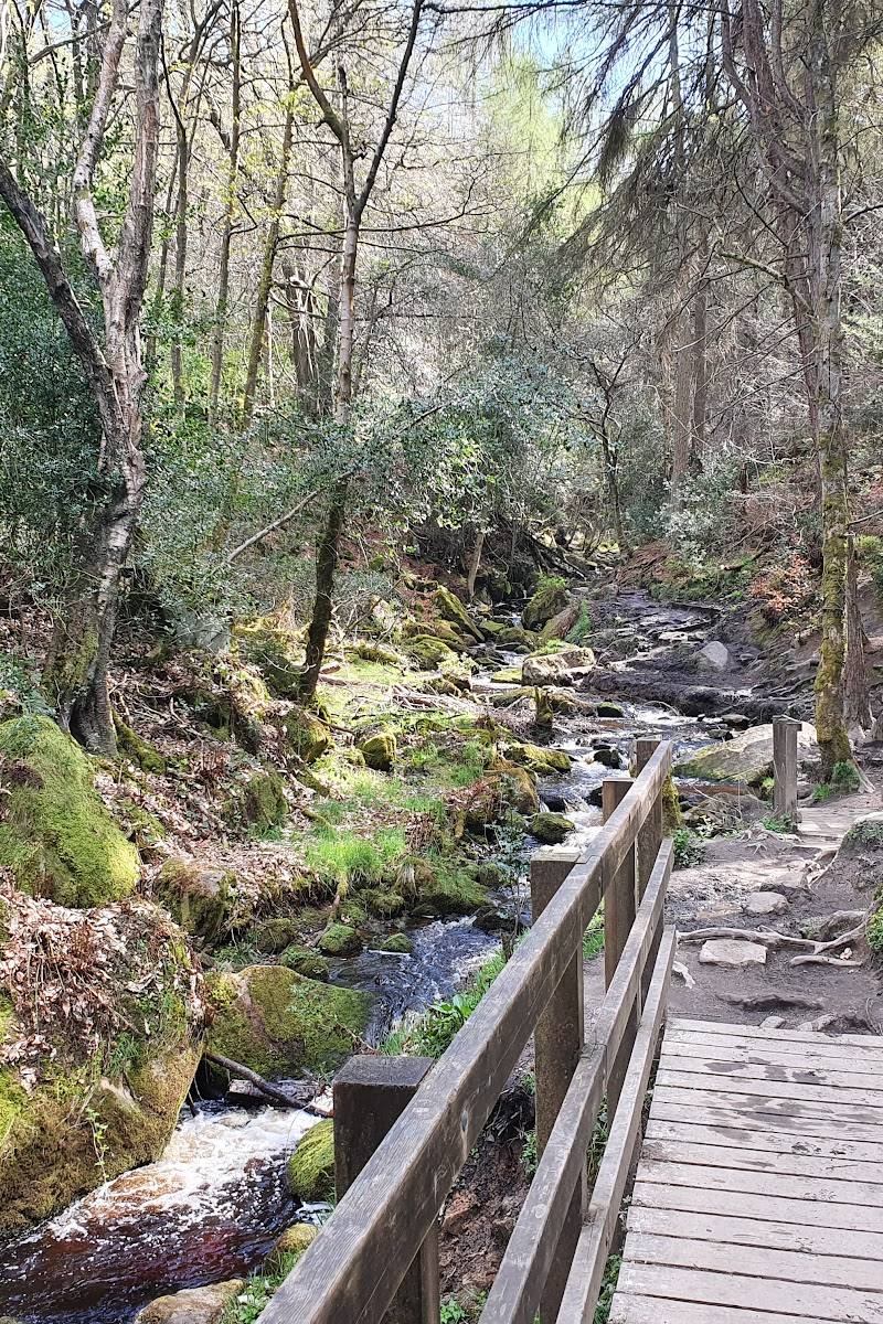 Wyming Brook Nature Reserve — Place photograph (3 of 3)