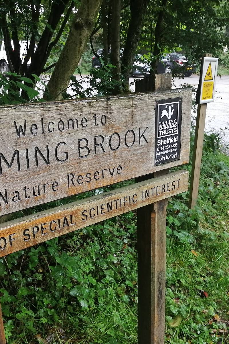 Wyming Brook Nature Reserve — Place photograph (2 of 3)
