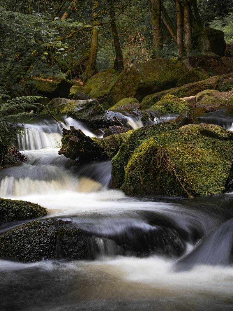 Wyming Brook Woodland — Place photograph