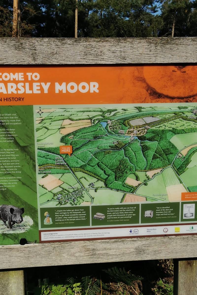 Yearsley Woods