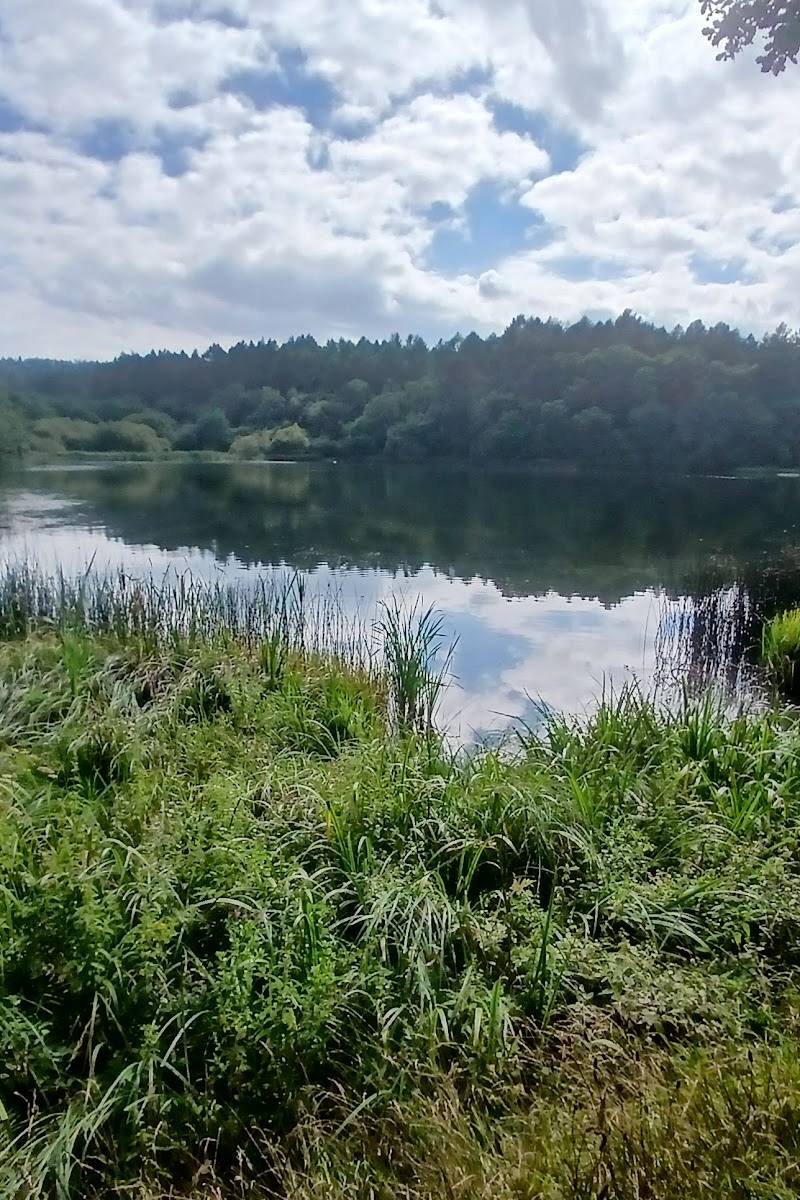 Yearsley Woods Circular Walk — Place photograph