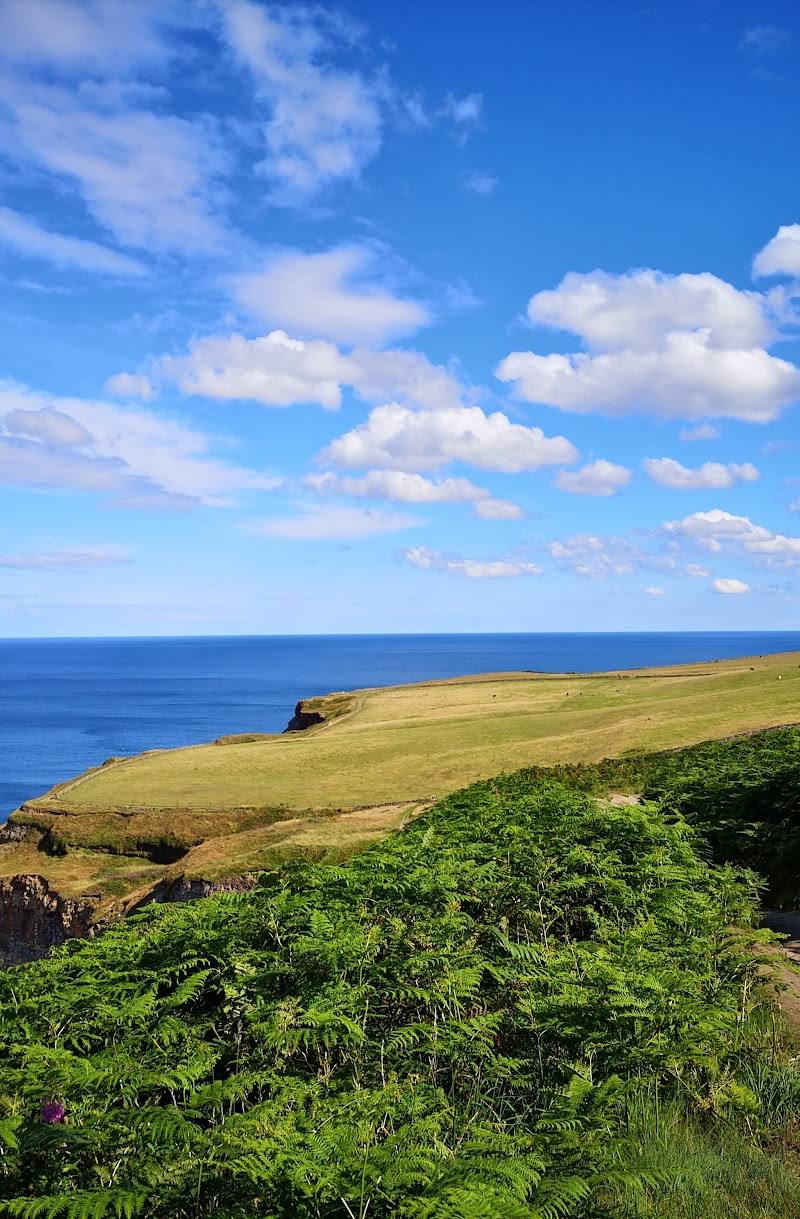 Yorkshire Coast