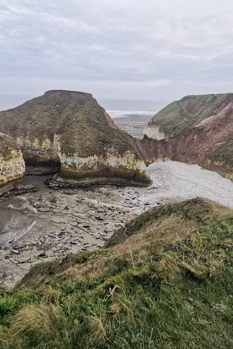 YWT Flamborough Cliffs
